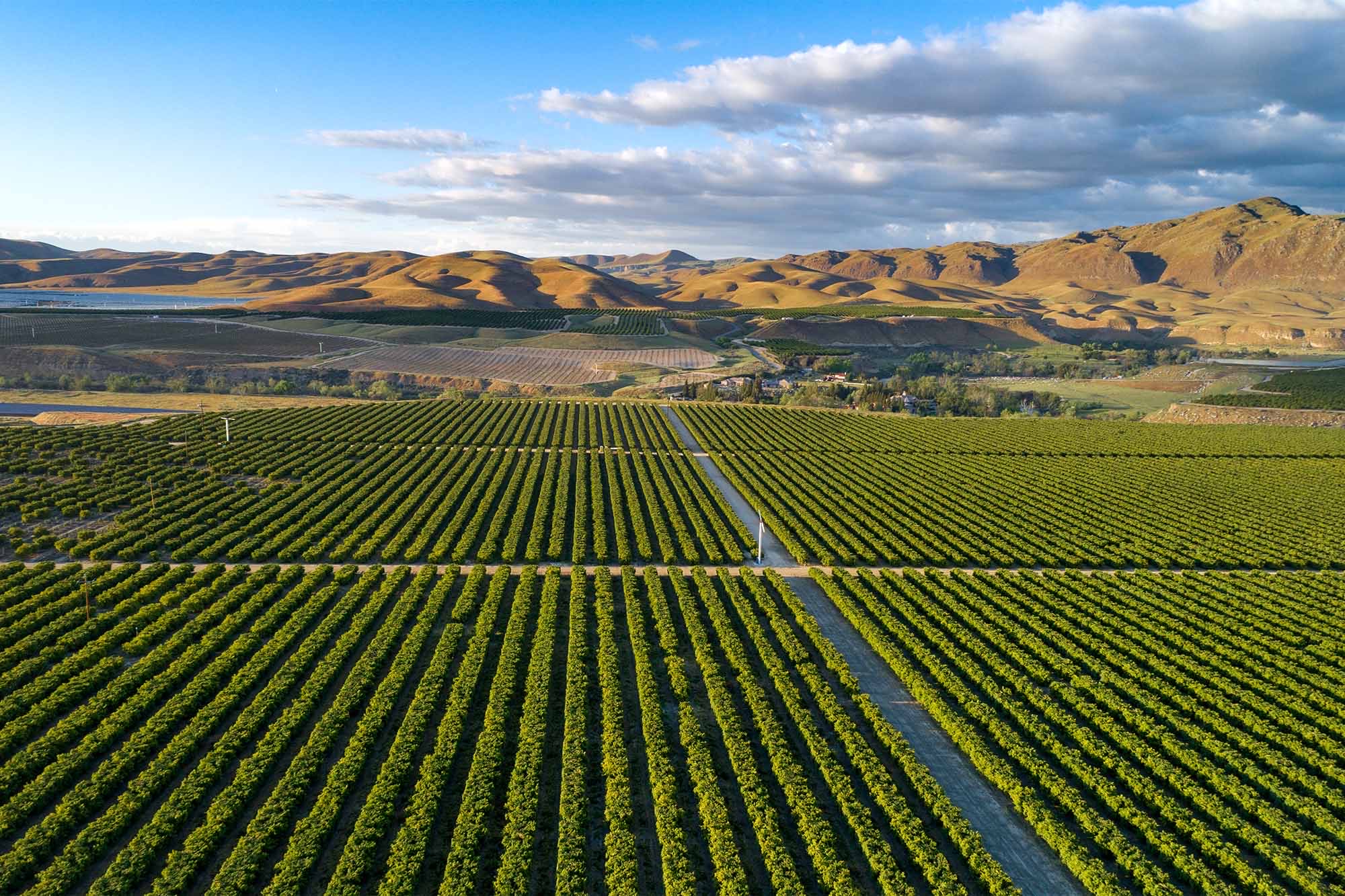 Aerial view of the central valley's neatly arranged vineyard rows with roads, set against rolling hills under a partly cloudy sky.