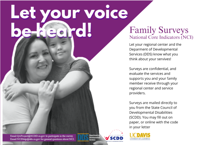 Let your voice be heard Family Surveys flyer